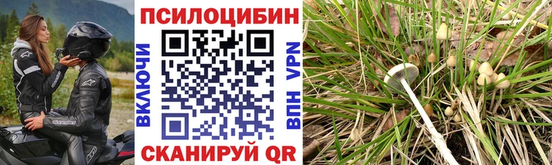 Псилоцибиновые грибы GOLDEN TEACHER  Купить закладки  Менделеевск 